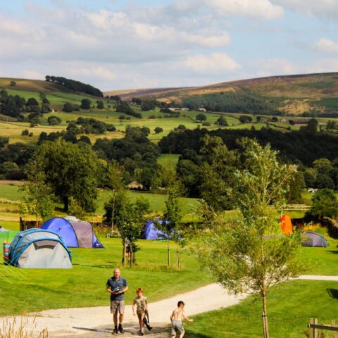 Camp under the stars at Catgill Farm — where unforgettable memories are made!