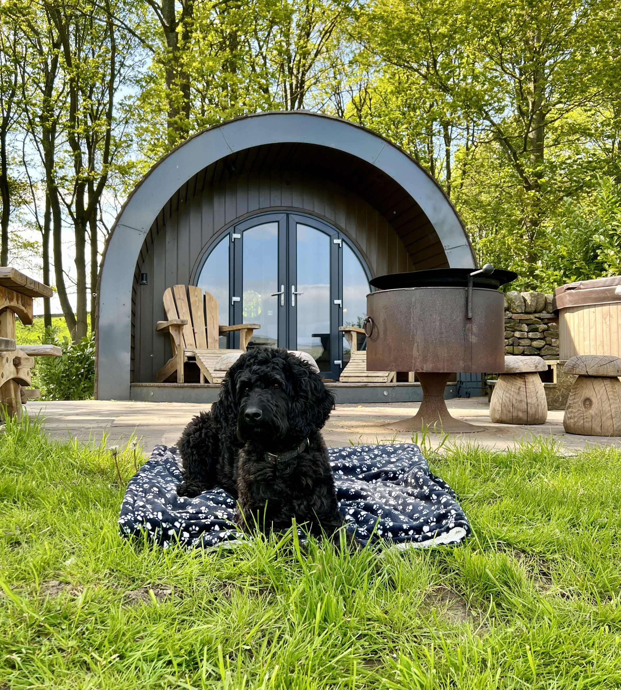 Multi Pod Dogs Dog Friendly Glamping Pods with Hot Tub Yorkshire | Catgill Farm